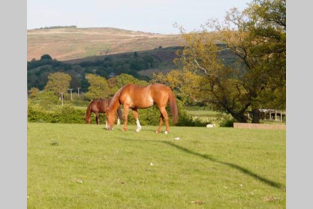 Upper Heath Farm - Stable Cottage Craven Arms Dış mekan fotoğraf