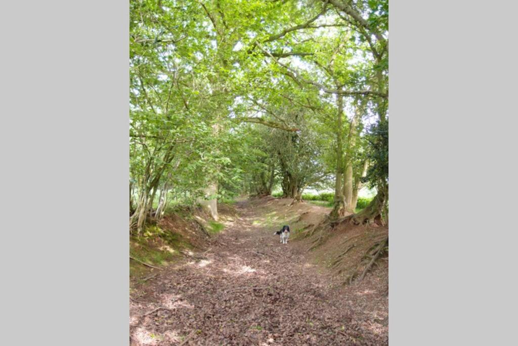 Upper Heath Farm - Stable Cottage Craven Arms Dış mekan fotoğraf